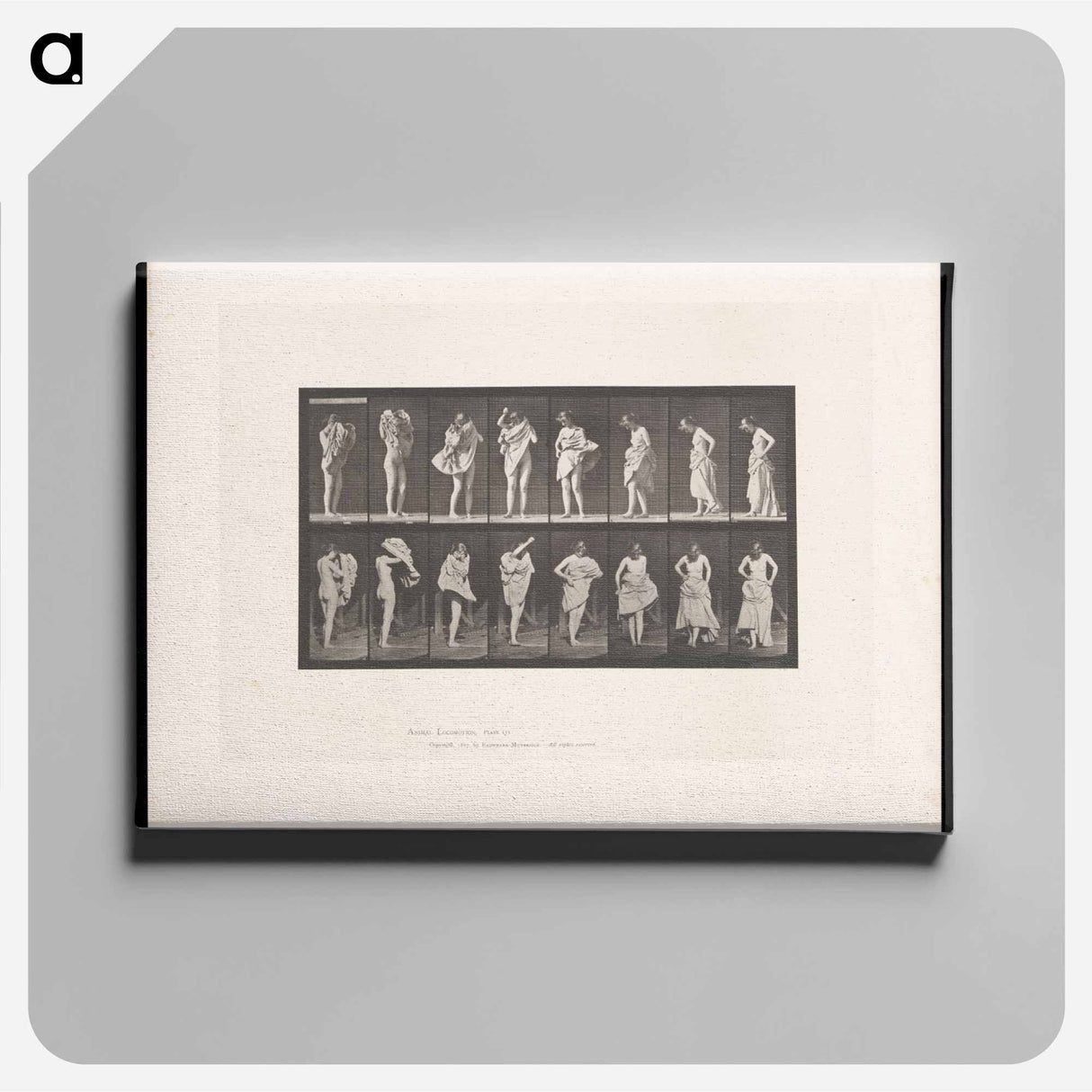 アートパネル-Woman Putting on a Dress
 - エドワード マイブリッジ Canvas.