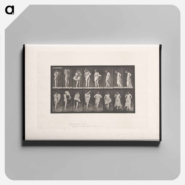 アートパネル-Woman Putting on a Dress
 - エドワード マイブリッジ Canvas.