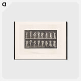 アートポストカード-Woman Putting on a Dress
 - エドワード マイブリッジ Postcard.