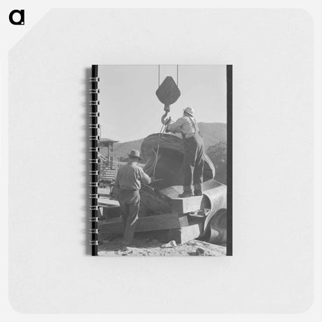 アートメモ帳-Mrs. Hutton's Chickens
 - ラッセル リー Memo.