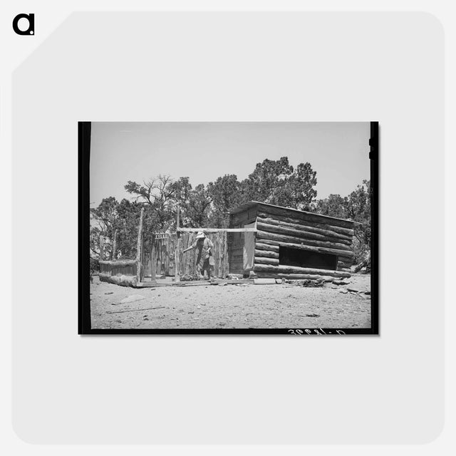 アートポストカード-Mrs. Hutton's Chickens
 - ラッセル リー Postcard.
