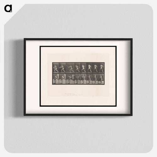 Baseball Swing
 - エドワード マイブリッジ Poster.