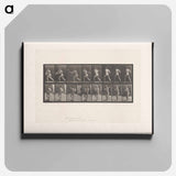 アートパネル-Baseball Swing
 - エドワード マイブリッジ Canvas.