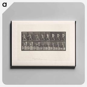 アートパネル-Baseball Swing
 - エドワード マイブリッジ Canvas.