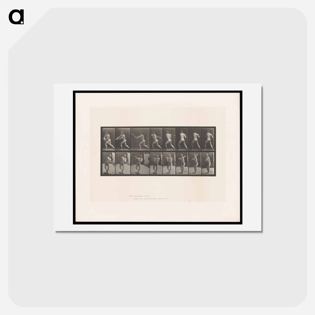 アートポストカード-Baseball Swing
 - エドワード マイブリッジ Postcard.