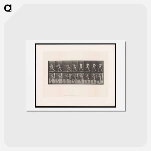 Baseball Swing
 - エドワード マイブリッジ Postcard.