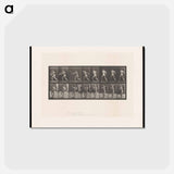 アートポストカード-Baseball Swing
 - エドワード マイブリッジ Postcard.