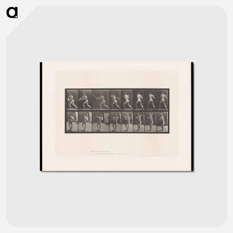 アートポストカード-Baseball Swing
 - エドワード マイブリッジ Postcard.