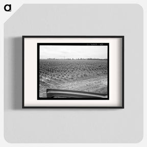 アートポスター-Check row planting of cotton - ドロテア ラング Poster.