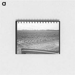 アートメモ帳-Check row planting of cotton - ドロテア ラング Memo.