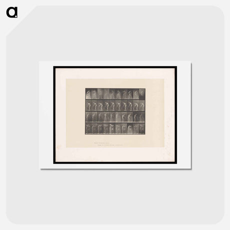 アートポストカード-The Blacksmith
 - エドワード マイブリッジ Postcard.