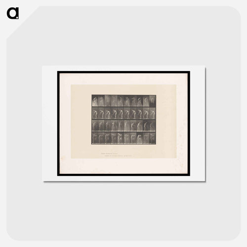 The Blacksmith
 - エドワード マイブリッジ Postcard.