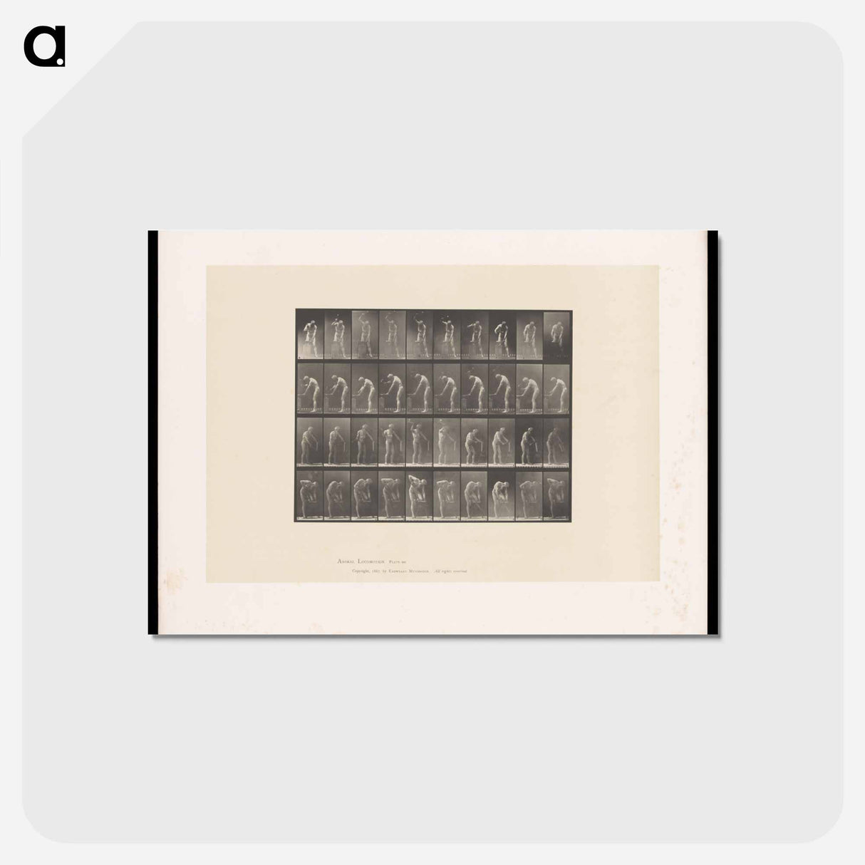 アートポストカード-The Blacksmith
 - エドワード マイブリッジ Postcard.