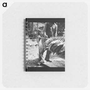 アートメモ帳-Stringing tobacco - ドロテア ラング Memo.