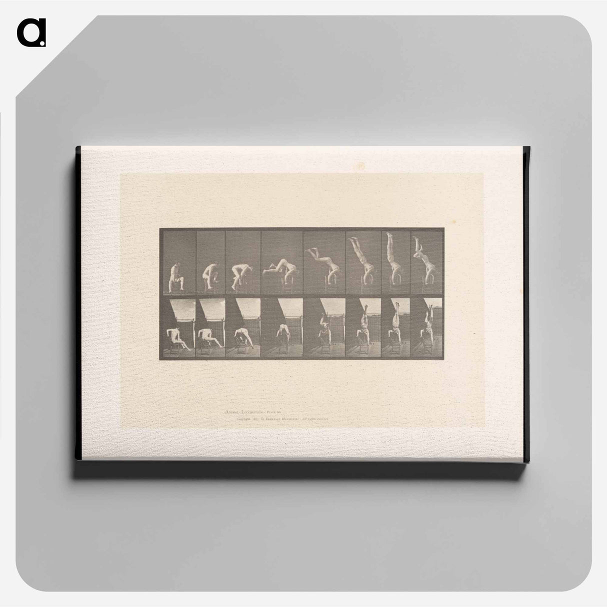 アートパネル-Handstand on Chair
 - エドワード マイブリッジ Canvas.