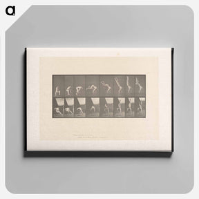 アートパネル-Handstand on Chair
 - エドワード マイブリッジ Canvas.