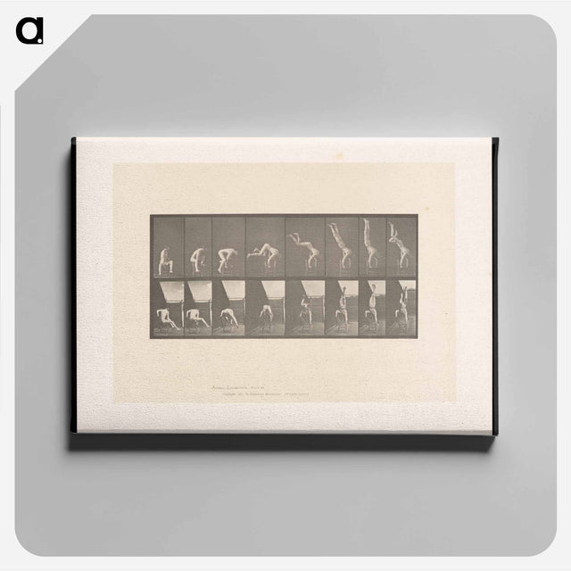 アートパネル-Handstand on Chair
 - エドワード マイブリッジ Canvas.