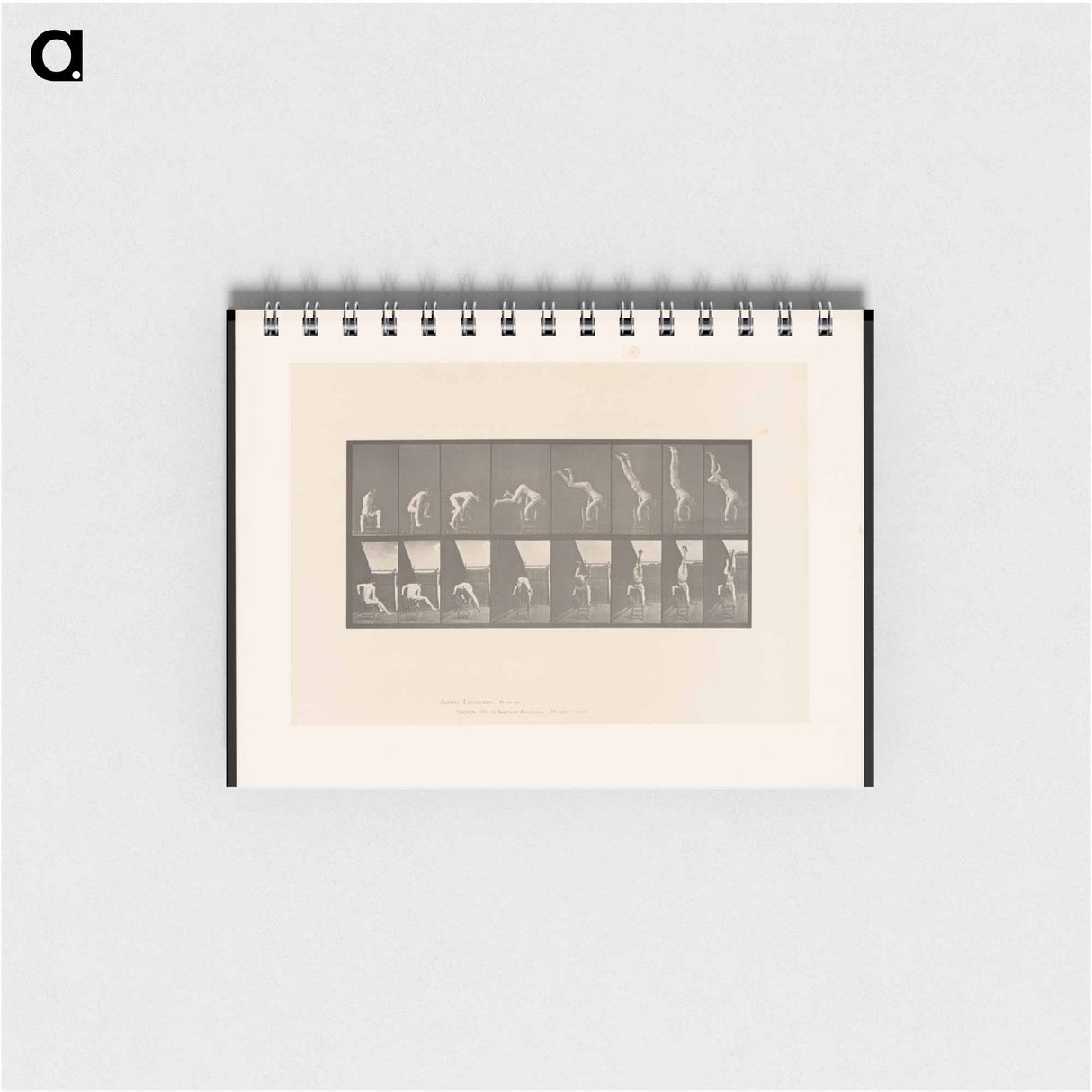 アートメモ帳-Handstand on Chair
 - エドワード マイブリッジ Memo.