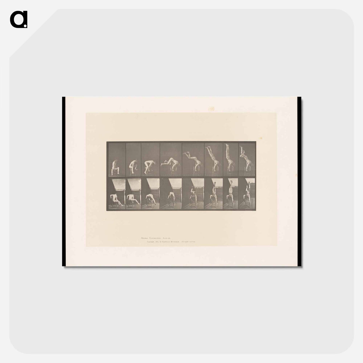 アートポストカード-Handstand on Chair
 - エドワード マイブリッジ Postcard.