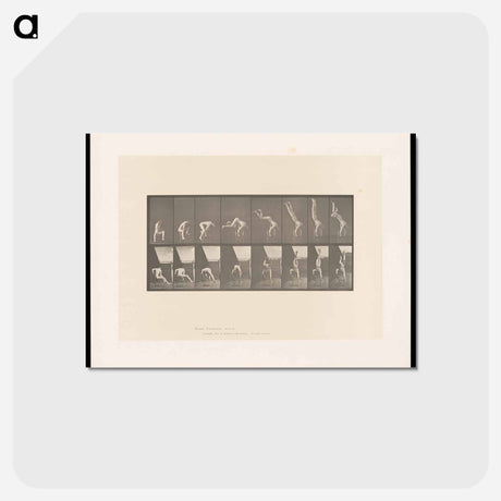 アートポストカード-Handstand on Chair
 - エドワード マイブリッジ Postcard.