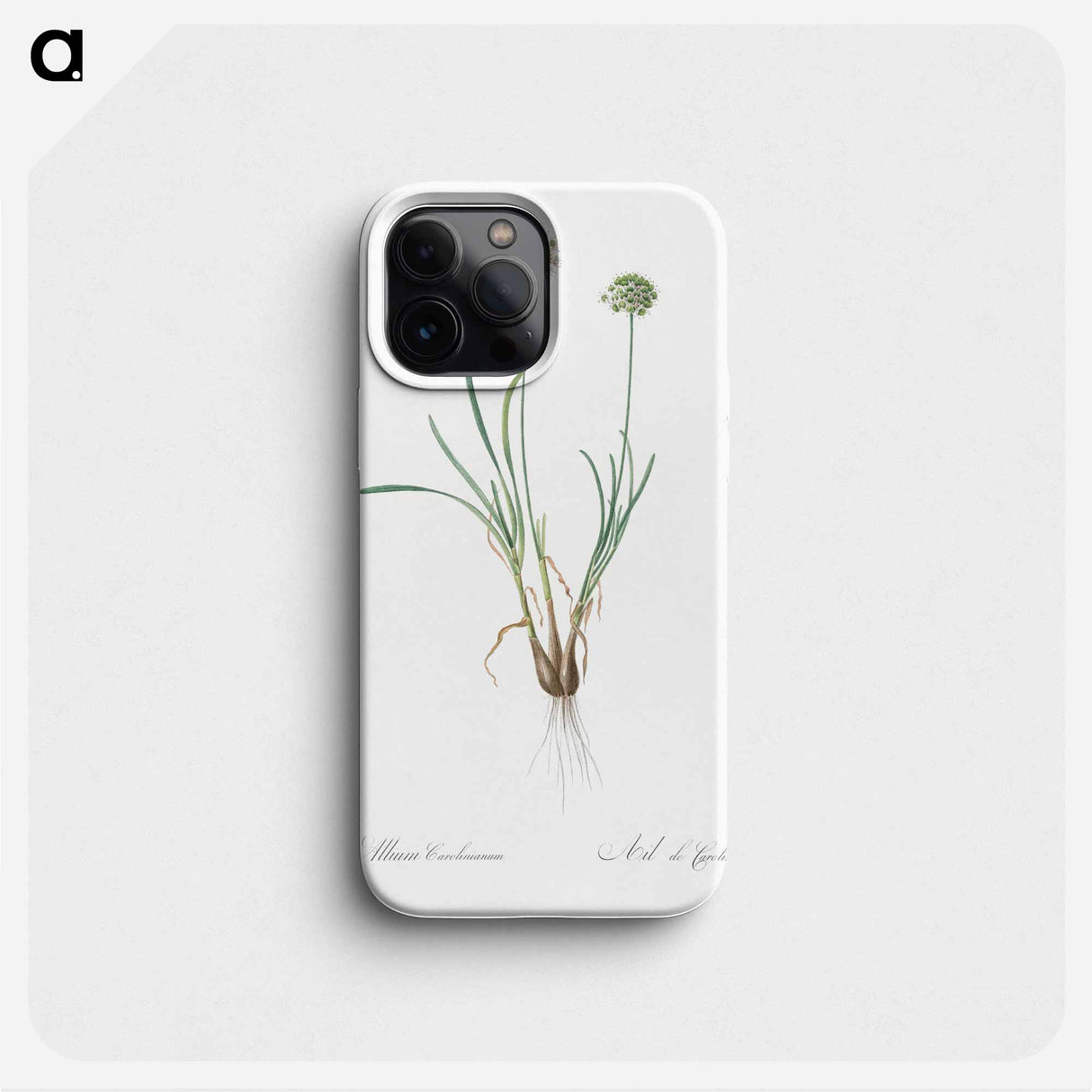 Allium carolinianum - Pierre Joseph Redouté Phone Case.