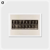 アートポストカード-Naked Man Walking
 - エドワード マイブリッジ Postcard.