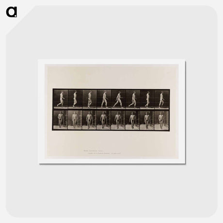 アートポストカード-Naked Man Walking
 - エドワード マイブリッジ Postcard.