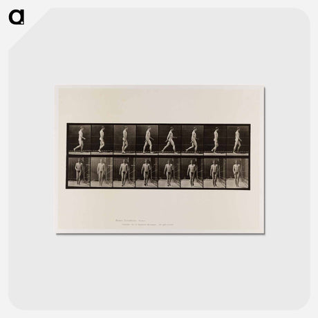 アートポストカード-Naked Man Walking
 - エドワード マイブリッジ Postcard.