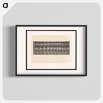 Making the Bed
 - エドワード マイブリッジ Poster.