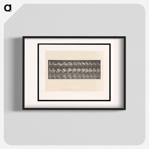 Making the Bed
 - エドワード マイブリッジ Poster.