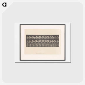 アートポストカード-Making the Bed
 - エドワード マイブリッジ Postcard.
