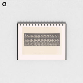 アートメモ帳-Making the Bed
 - エドワード マイブリッジ Memo.