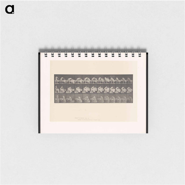 アートメモ帳-Making the Bed
 - エドワード マイブリッジ Memo.