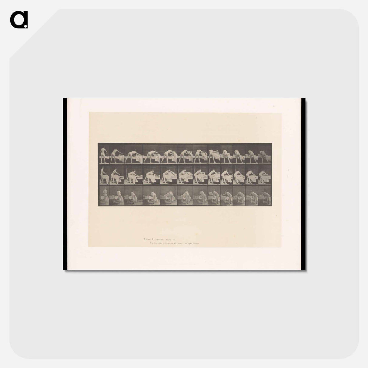 アートポストカード-Making the Bed
 - エドワード マイブリッジ Postcard.