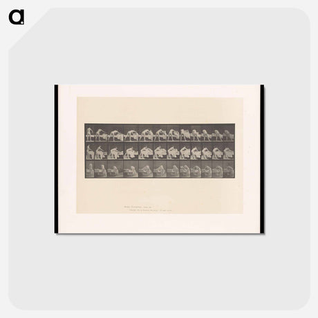 アートポストカード-Making the Bed
 - エドワード マイブリッジ Postcard.