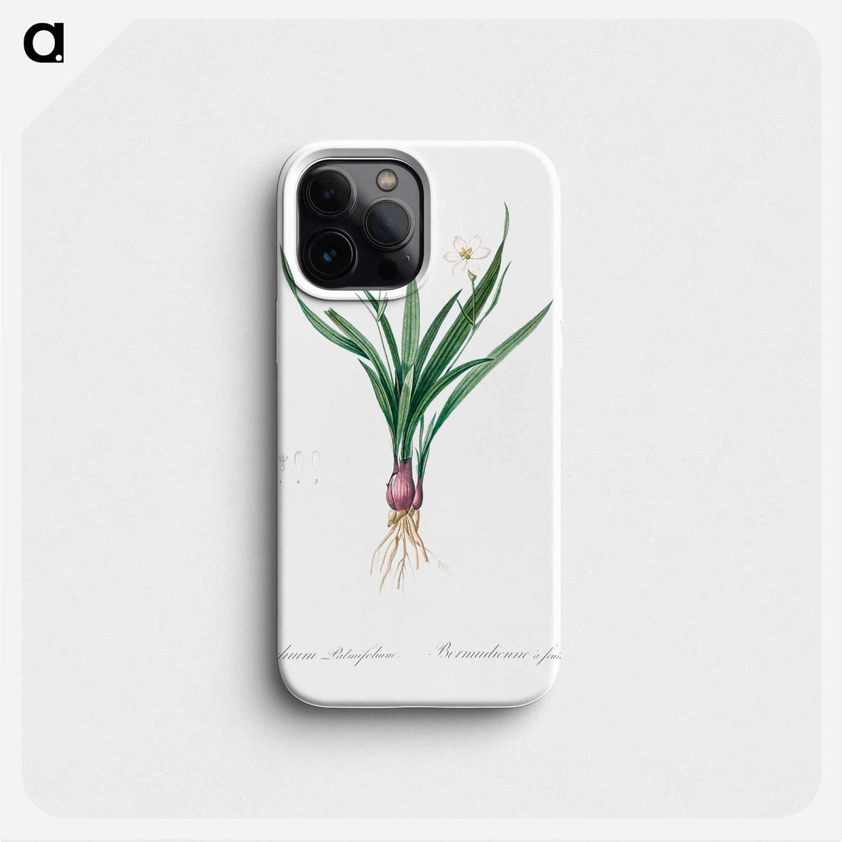 Lagrimas de la virgen - Pierre Joseph Redouté Phone Case.