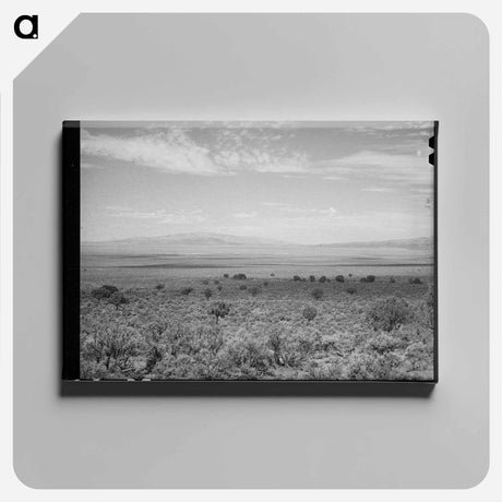 アートパネル-Mineral King Dairy Herd
 - ラッセル リー Canvas.