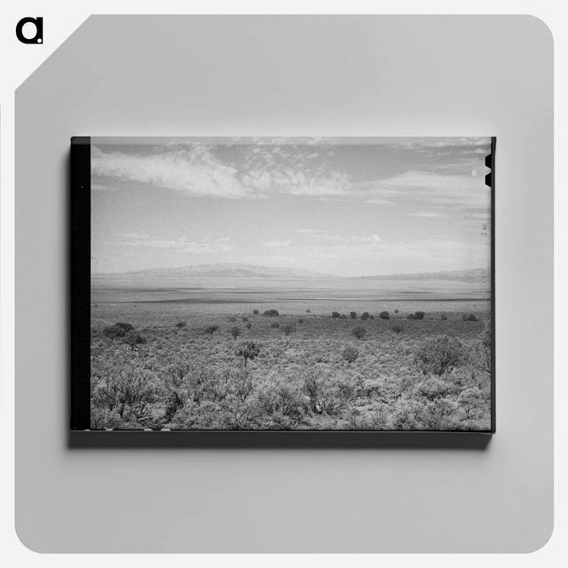 アートパネル-Mineral King Dairy Herd
 - ラッセル リー Canvas.