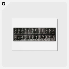 アートポストカード-Disabled Person Walking
 - エドワード マイブリッジ Postcard.