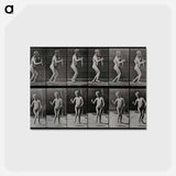 アートポストカード-Disabled Person Walking
 - エドワード マイブリッジ Postcard.