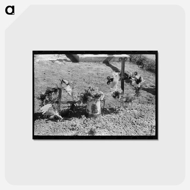 アートポストカード-Decorated Graves, New Roads
 - ラッセル リー Postcard.