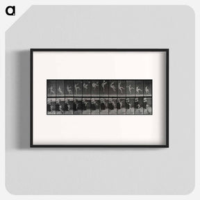 アートポスター-Flying Somersault
 - エドワード マイブリッジ Poster.