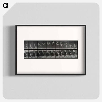 Flying Somersault
 - エドワード マイブリッジ Poster.