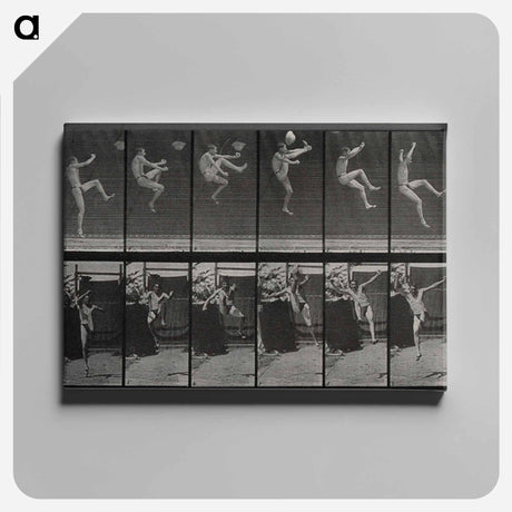 アートパネル-Flying Somersault
 - エドワード マイブリッジ Canvas.