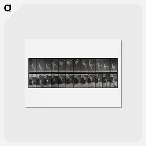 アートポストカード-Flying Somersault
 - エドワード マイブリッジ Postcard.