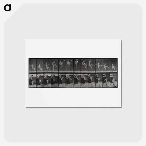 Flying Somersault
 - エドワード マイブリッジ Postcard.