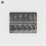 アートメモ帳-Flying Somersault
 - エドワード マイブリッジ Memo.