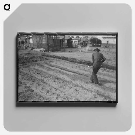 アートパネル-Abandoned Citrus Grove
 - ラッセル リー Canvas.