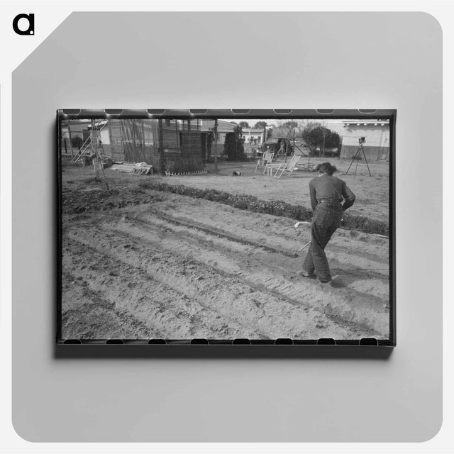 アートパネル-Abandoned Citrus Grove
 - ラッセル リー Canvas.