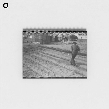 アートメモ帳-Abandoned Citrus Grove
 - ラッセル リー Memo.